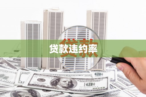 张家界贷款违约率