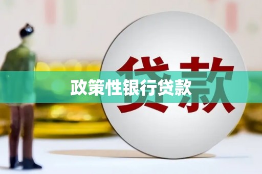 张家界政策性银行贷款