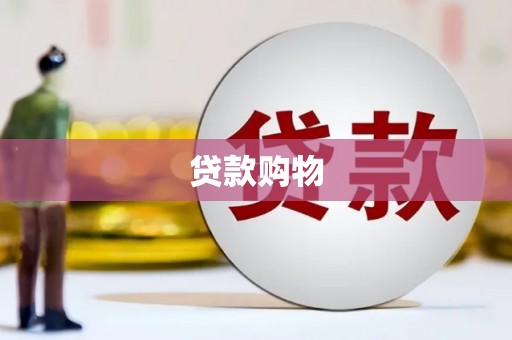 张家界贷款购物