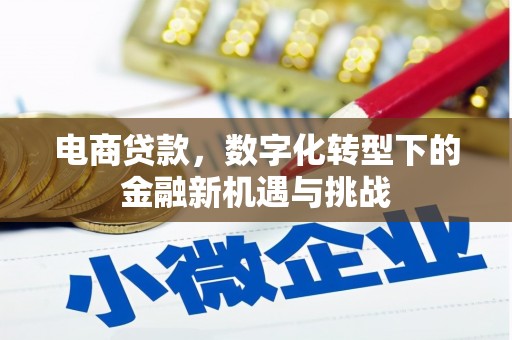 张家界电商贷款，数字化转型下的金融新机遇与挑战