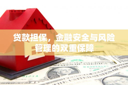张家界贷款担保，金融安全与风险管理的双重保障