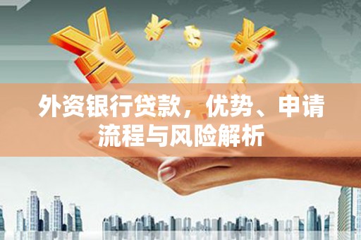 张家界外资银行贷款，优势、申请流程与风险解析