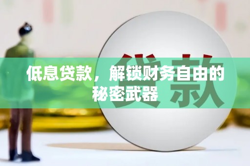 张家界低息贷款，解锁财务自由的秘密武器