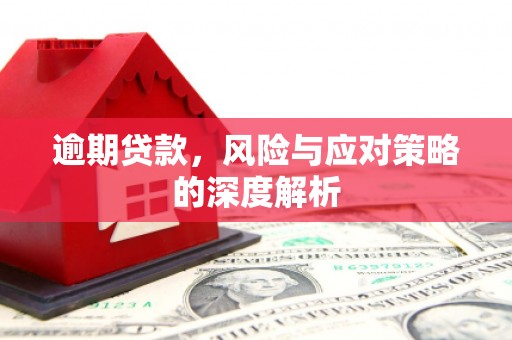 张家界逾期贷款，风险与应对策略的深度解析