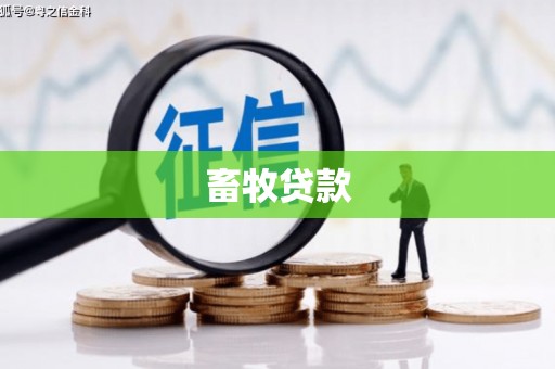 张家界畜牧贷款