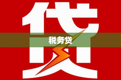 张家界税务贷