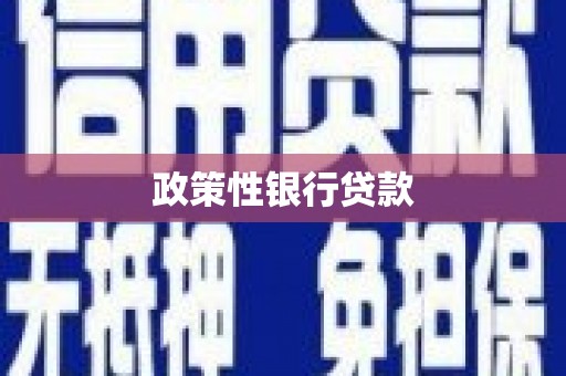 张家界政策性银行贷款
