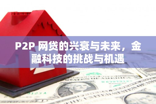 张家界P2P 网贷的兴衰与未来，金融科技的挑战与机遇