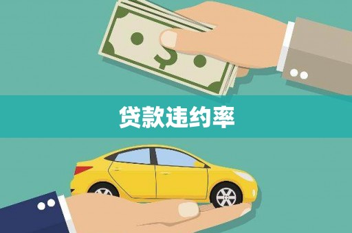 张家界贷款违约率