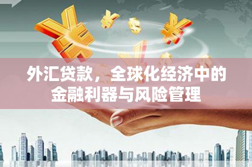 张家界外汇贷款，全球化经济中的金融利器与风险管理
