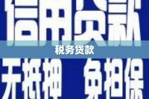 张家界税务贷款