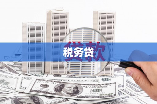 张家界税务贷