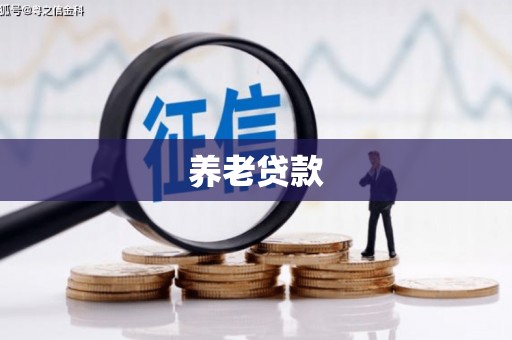 张家界养老贷款