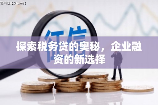 张家界探索税务贷的奥秘，企业融资的新选择