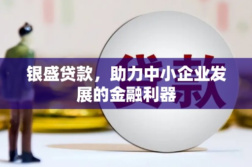 张家界银盛贷款，助力中小企业发展的金融利器