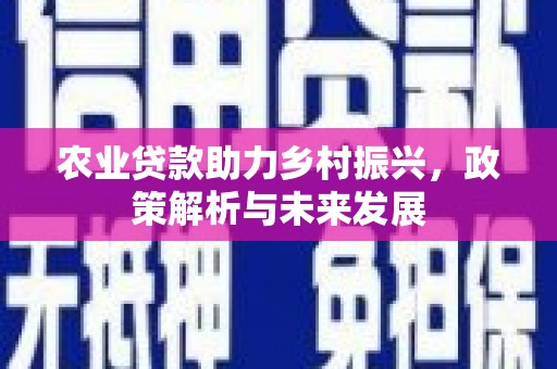 张家界农业贷款助力乡村振兴，政策解析与未来发展