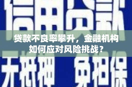 张家界贷款不良率攀升，金融机构如何应对风险挑战？