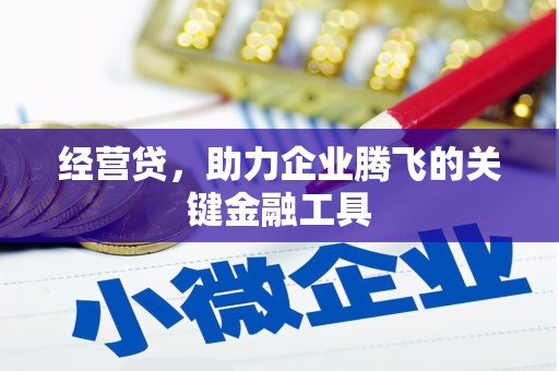 张家界经营贷，助力企业腾飞的关键金融工具
