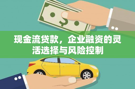 张家界现金流贷款，企业融资的灵活选择与风险控制