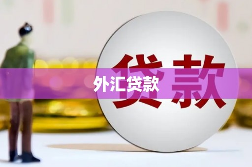 张家界外汇贷款