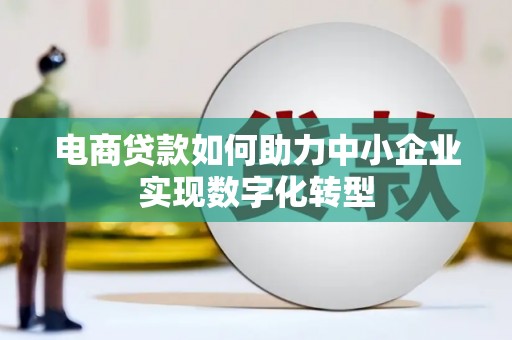 张家界电商贷款如何助力中小企业实现数字化转型