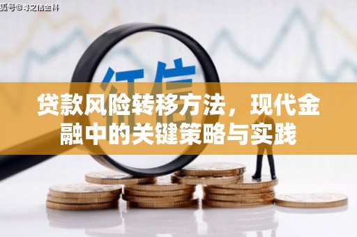张家界贷款风险转移方法，现代金融中的关键策略与实践