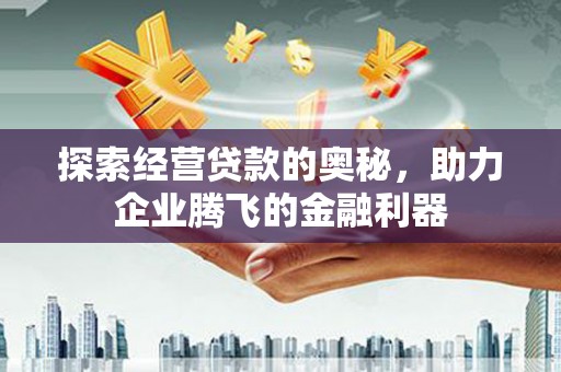 张家界探索经营贷款的奥秘，助力企业腾飞的金融利器
