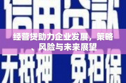 张家界经营贷助力企业发展，策略、风险与未来展望