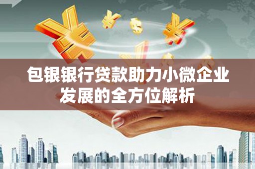张家界包银银行贷款助力小微企业发展的全方位解析