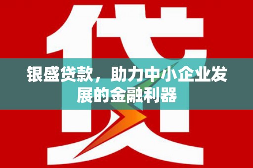 张家界银盛贷款，助力中小企业发展的金融利器