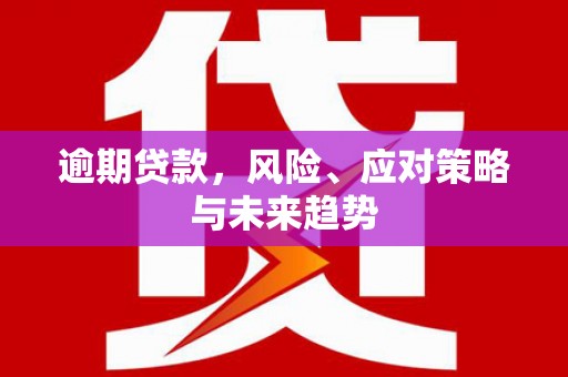 张家界逾期贷款，风险、应对策略与未来趋势