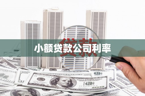 张家界小额贷款公司利率