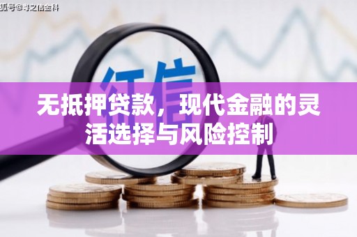 张家界无抵押贷款，现代金融的灵活选择与风险控制