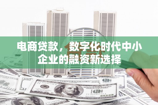 张家界电商贷款，数字化时代中小企业的融资新选择