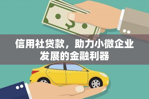 张家界信用社贷款，助力小微企业发展的金融利器