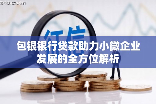 张家界包银银行贷款助力小微企业发展的全方位解析