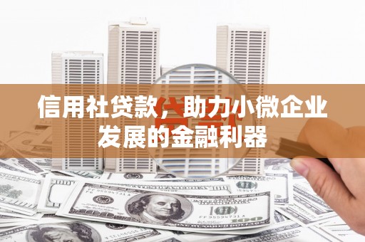 张家界信用社贷款，助力小微企业发展的金融利器