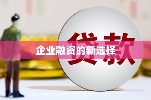 张家界企业融资的新选择