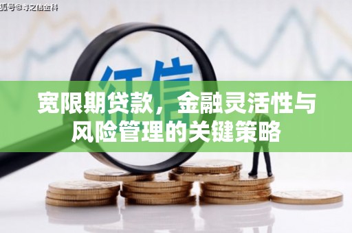 张家界宽限期贷款，金融灵活性与风险管理的关键策略