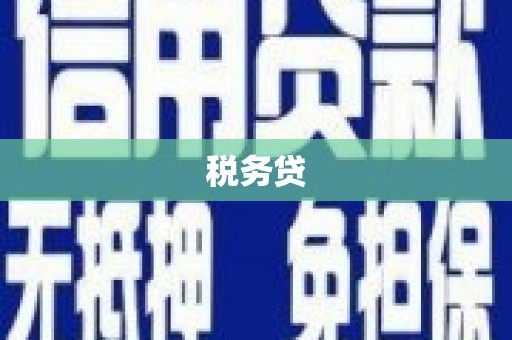 张家界税务贷