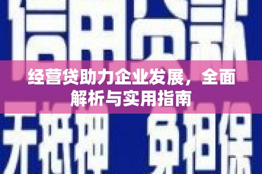 张家界经营贷助力企业发展，全面解析与实用指南