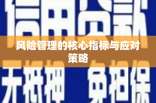 张家界风险管理的核心指标与应对策略