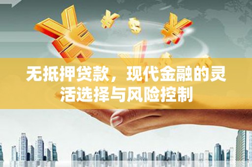 张家界无抵押贷款，现代金融的灵活选择与风险控制