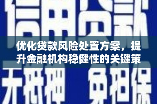 张家界优化贷款风险处置方案，提升金融机构稳健性的关键策略