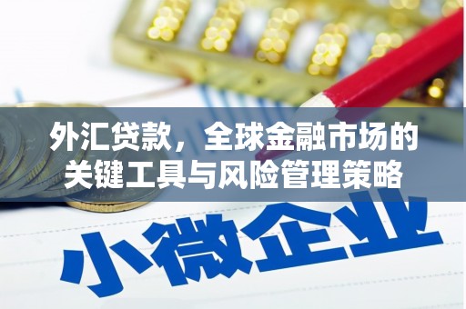 张家界外汇贷款，全球金融市场的关键工具与风险管理策略