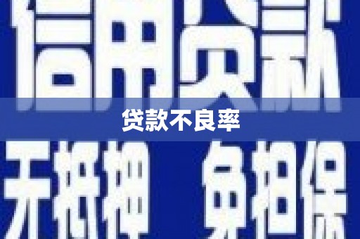 张家界贷款不良率