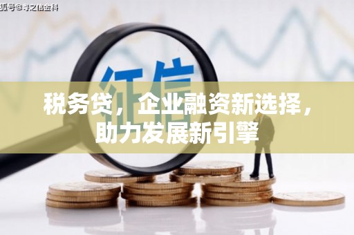 张家界税务贷，企业融资新选择，助力发展新引擎