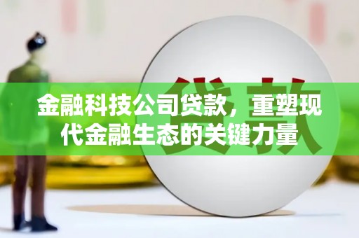 张家界金融科技公司贷款，重塑现代金融生态的关键力量