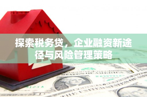 张家界探索税务贷，企业融资新途径与风险管理策略