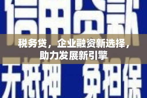 张家界税务贷，企业融资新选择，助力发展新引擎